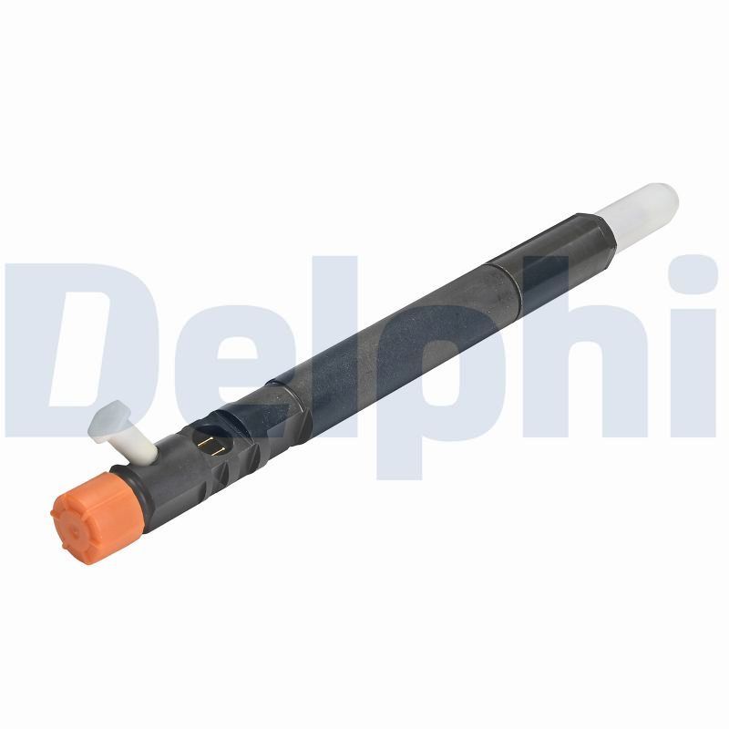 SsangYong Actyon / Kyron 2.0 XDi Revizyonlu Enjektör EJBR04501D | Delphi